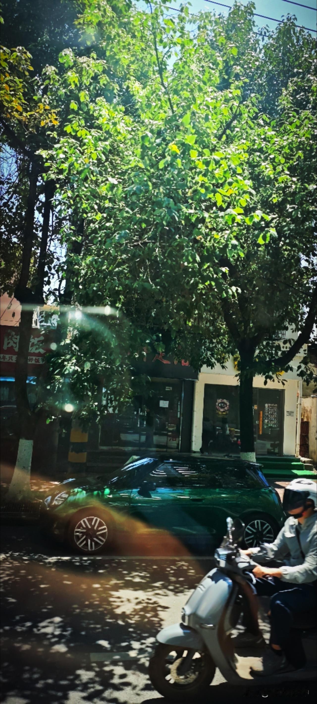 盛夏，痛苦是容易的，比如高温预警，然而快乐也是便宜的，比如冰饮冷气。烈日当空，就