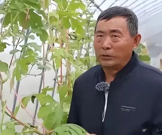 真正的高手，永远在民间！谁能想到，无数美日顶尖专家、博士团队，砸了数亿资金、钻研