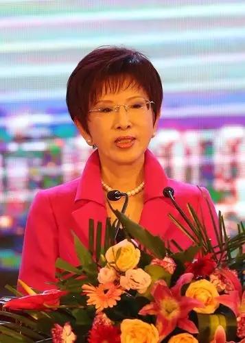 两岸谈妥了，洪秀柱就等着统一，台青年绝食抗议，郑丽文狙击绿营

7月19日晚上，