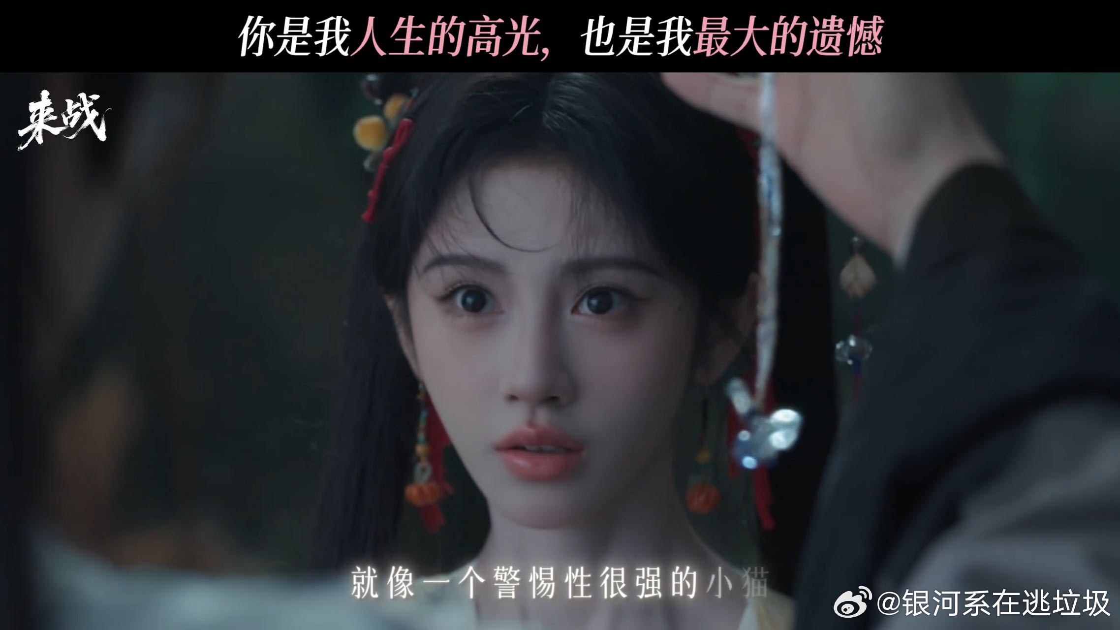 鞠婧祎说阿黛被爱和耐心打动张云龙来战高光遗憾都是鞠婧祎腾讯招商大会 听鞠婧祎形容