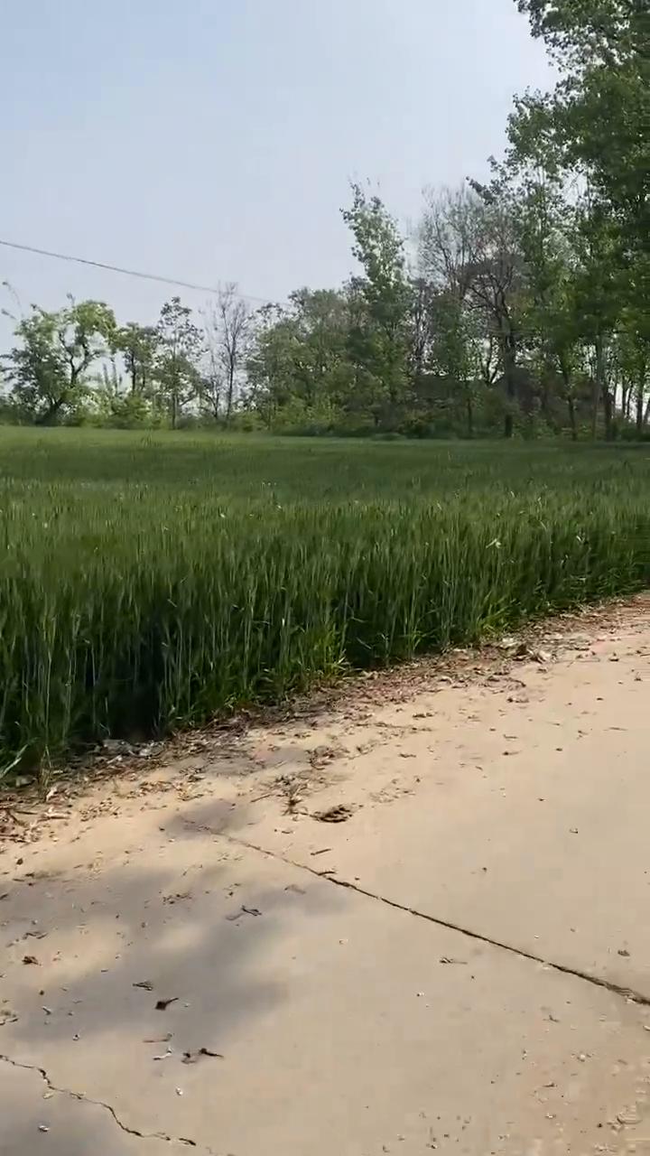 我国最小的一个村子小李村，现在仅剩一户人家，据说很早以前也是个大村庄，最后衰落到