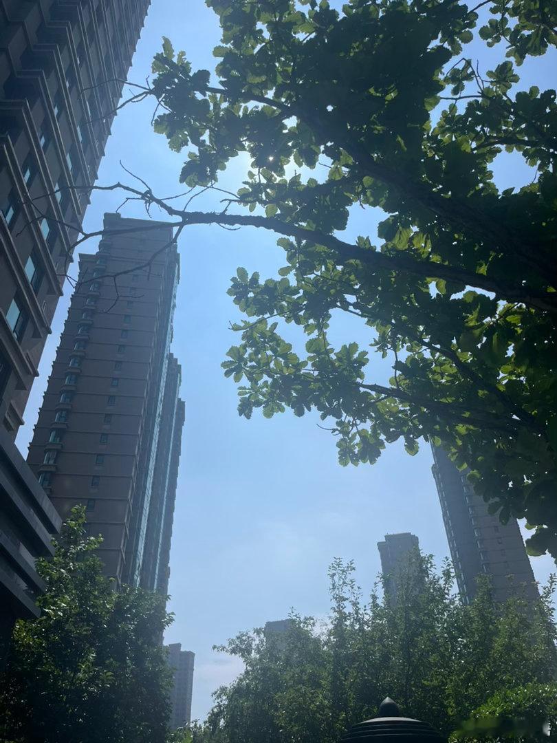 阳光明媚，心情一般 