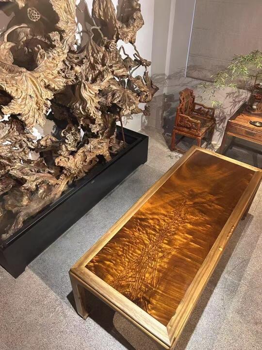 金丝楠木源头原来在这里