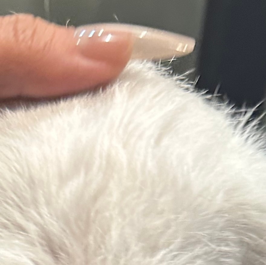 每日一善  种植 猕猴桃的种植：一、土壤要求：猕猴桃对土壤要求较高，适宜选择土层