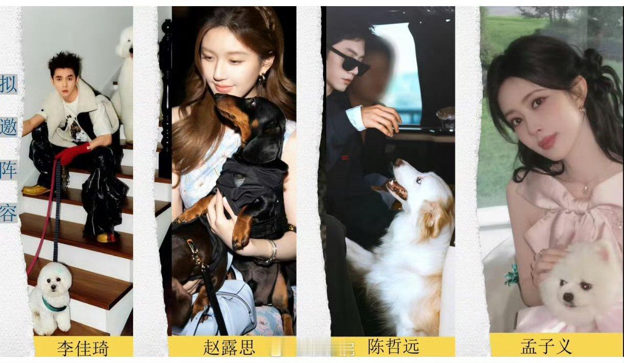 宠物合伙人拟邀名单宠物合伙人阵容 哇塞？ 