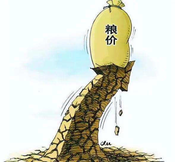 农民福音要来了《10 月小麦价格持续上扬，供应偏紧态势加剧的背后原因》
2024