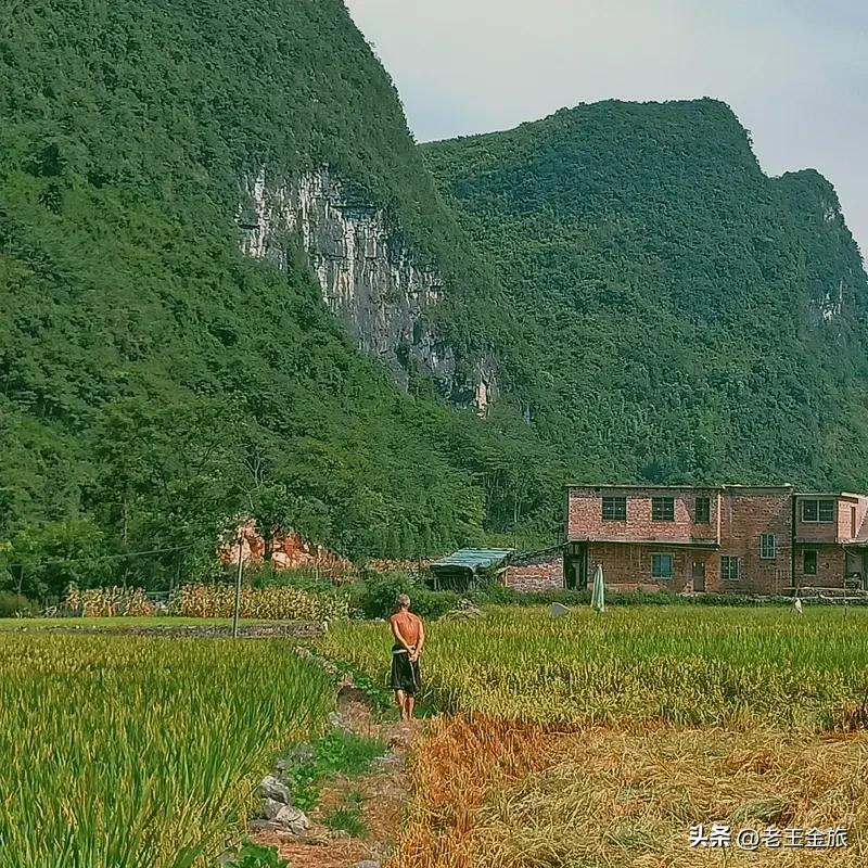 农村人不干活,有吃的吗? 农村人不干活，有没有吃的还真不能一概而论。以前农村基本
