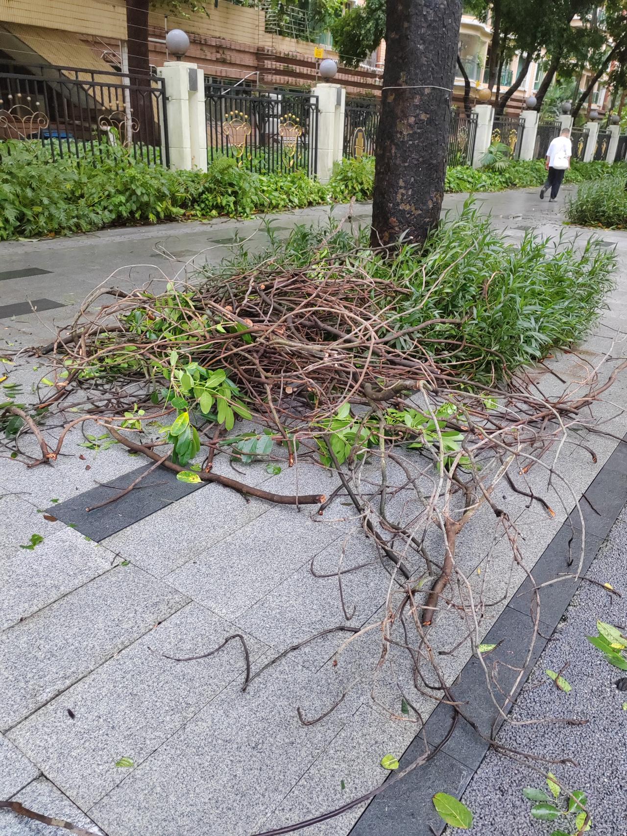 台风红霞从深圳身边走过

听闻远方有你
我做好了所有准备
想像了和你相拥的百种感