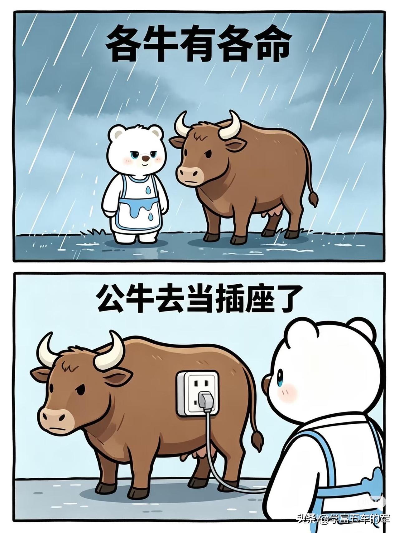 各牛各有各命，看完我都同情打工人了
