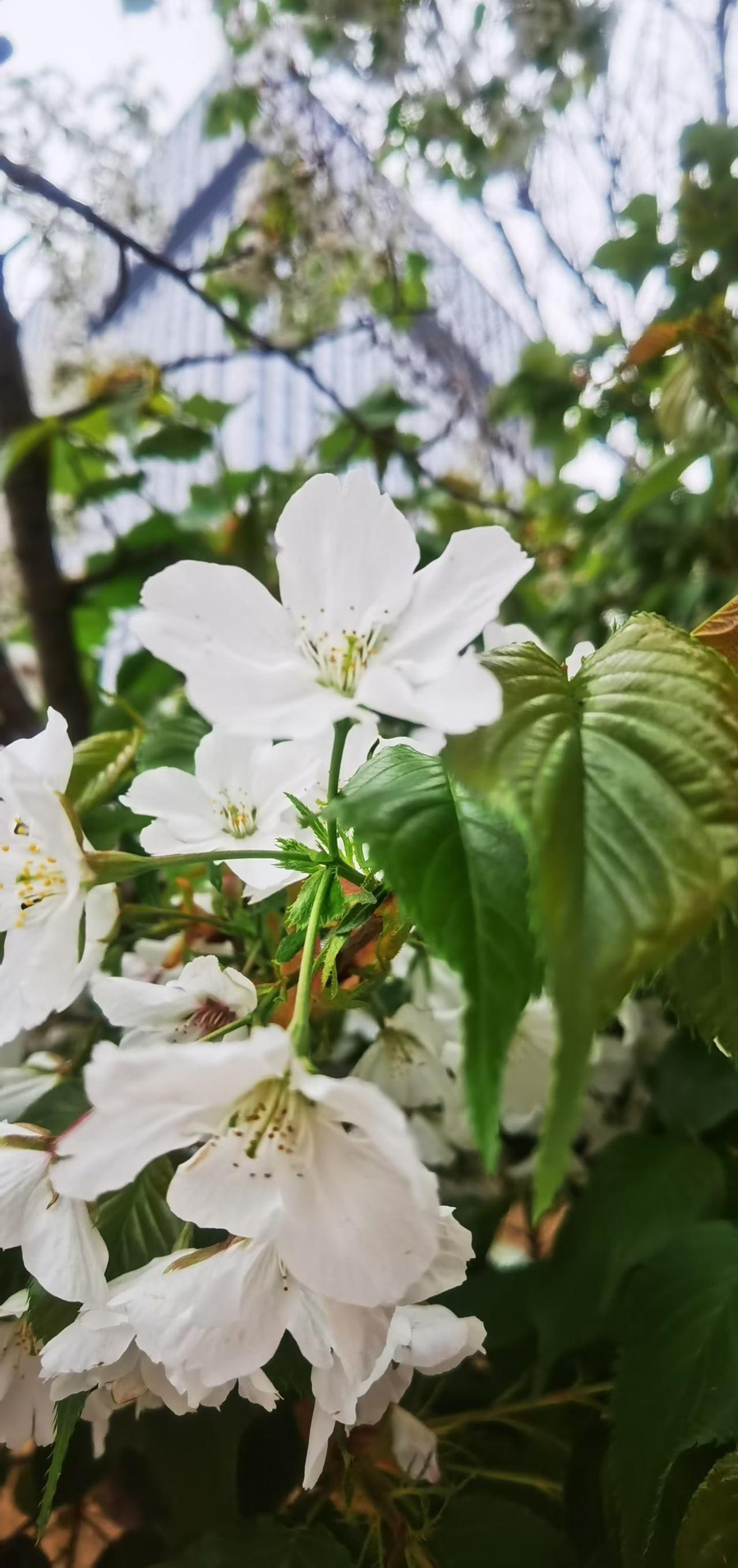 适合做官的人一般具备以下特质：
1、精力异于常人。
2、性格沉稳。
3、心理素质