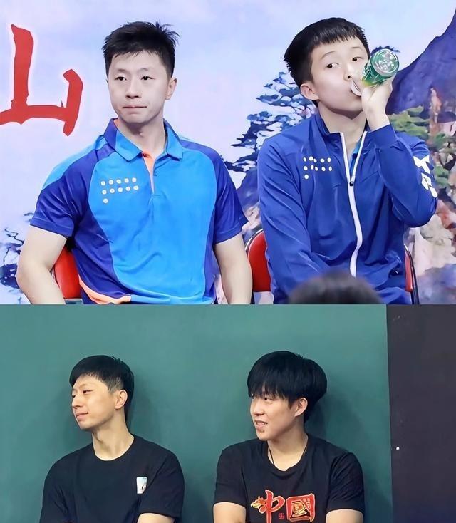 别再吹“传帮带”了。我告诉你，38岁的马龙和36岁的许昕重返集训，不是温情，而是