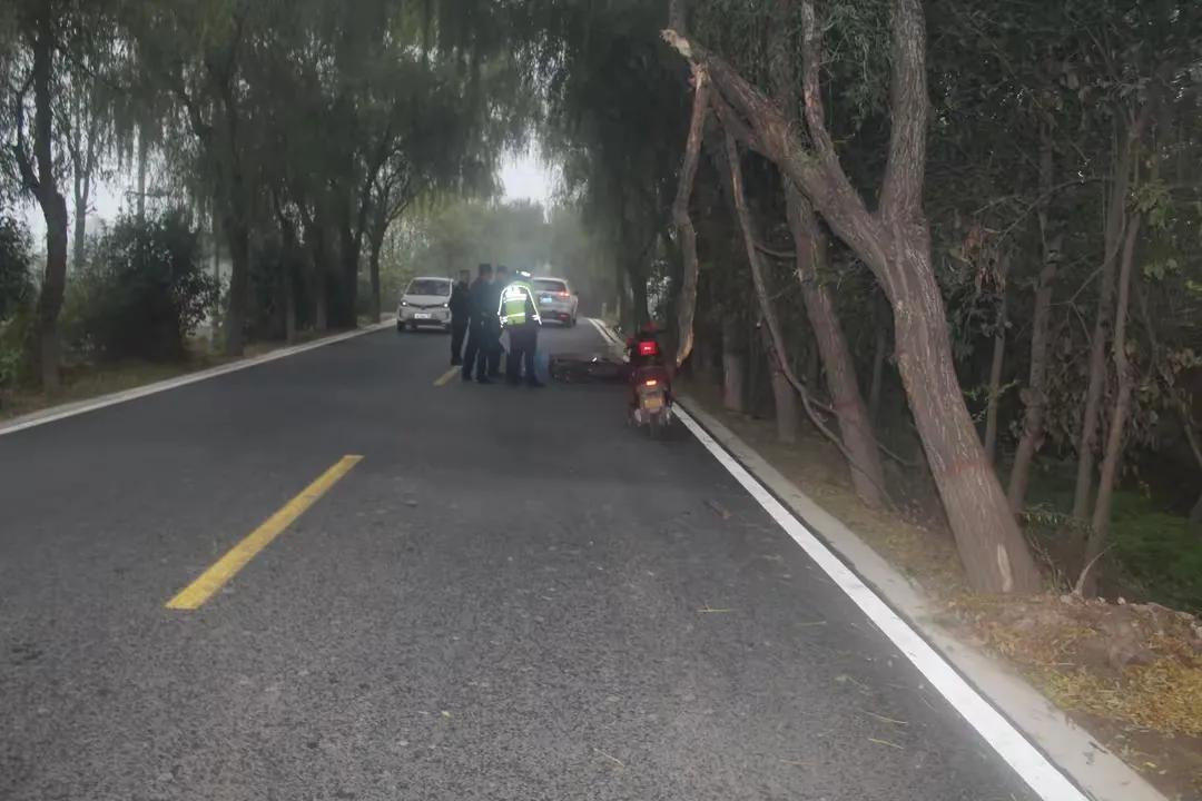 镇政府拒赔 如果不是路旁的树造成了行人死亡，而是这些树要卖钱，看看陕西咸阳兴平县