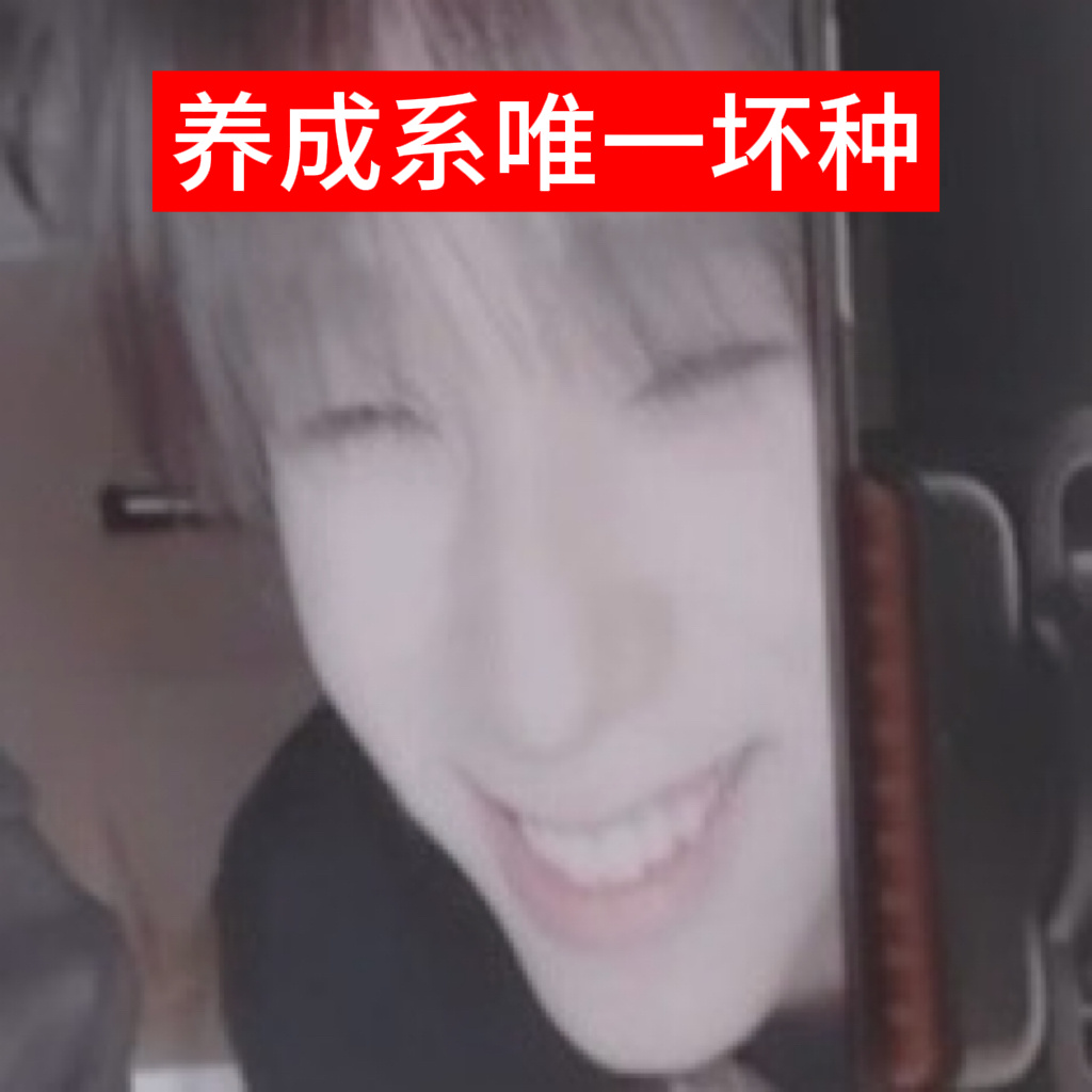 小纸团你们继续说一个傻子吧。 