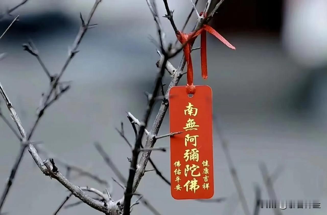 静心——浮躁的年代，我们需要静心！诸葛亮说：静以修身，俭以养德，非淡泊无以明志，