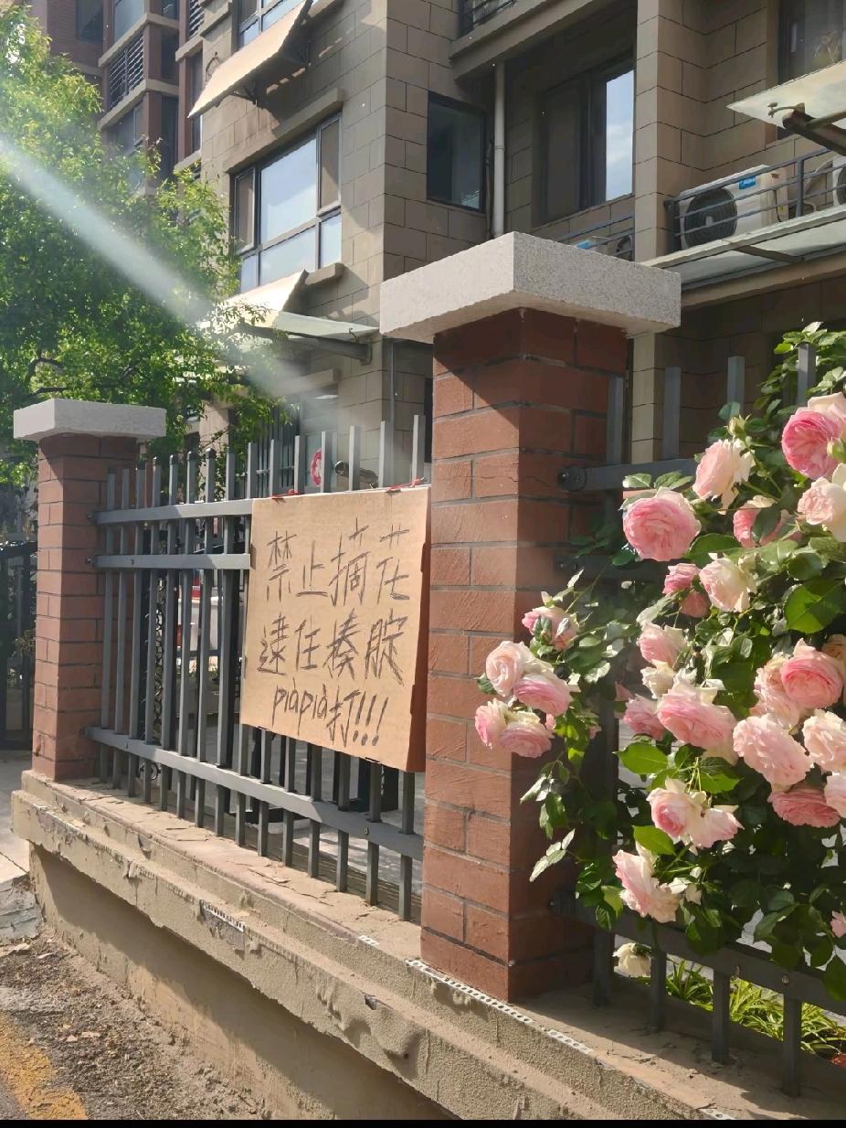 女人一定要明白的一个道理

婚前看球场，婚后看厨房
 
没结婚以前，总觉得男生在