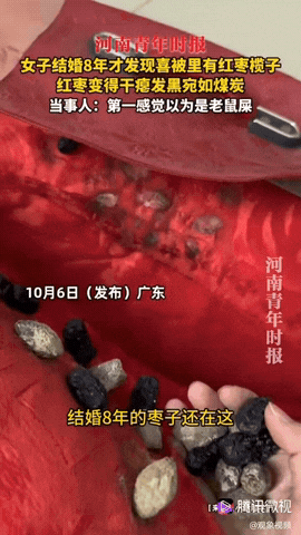 广东，一女子结婚8年，没想到在收拾喜被时，她发现被子里有藏着“老鼠屎”，其实就是