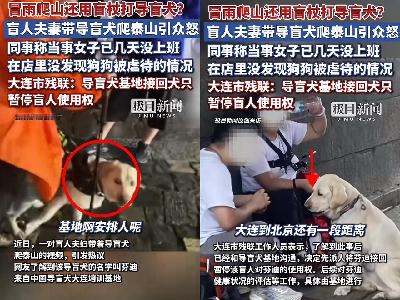 看导盲犬芬迪的状态，这个泰山行值吗？

视频里，芬迪全程淋雨，爬台阶时因担心主人