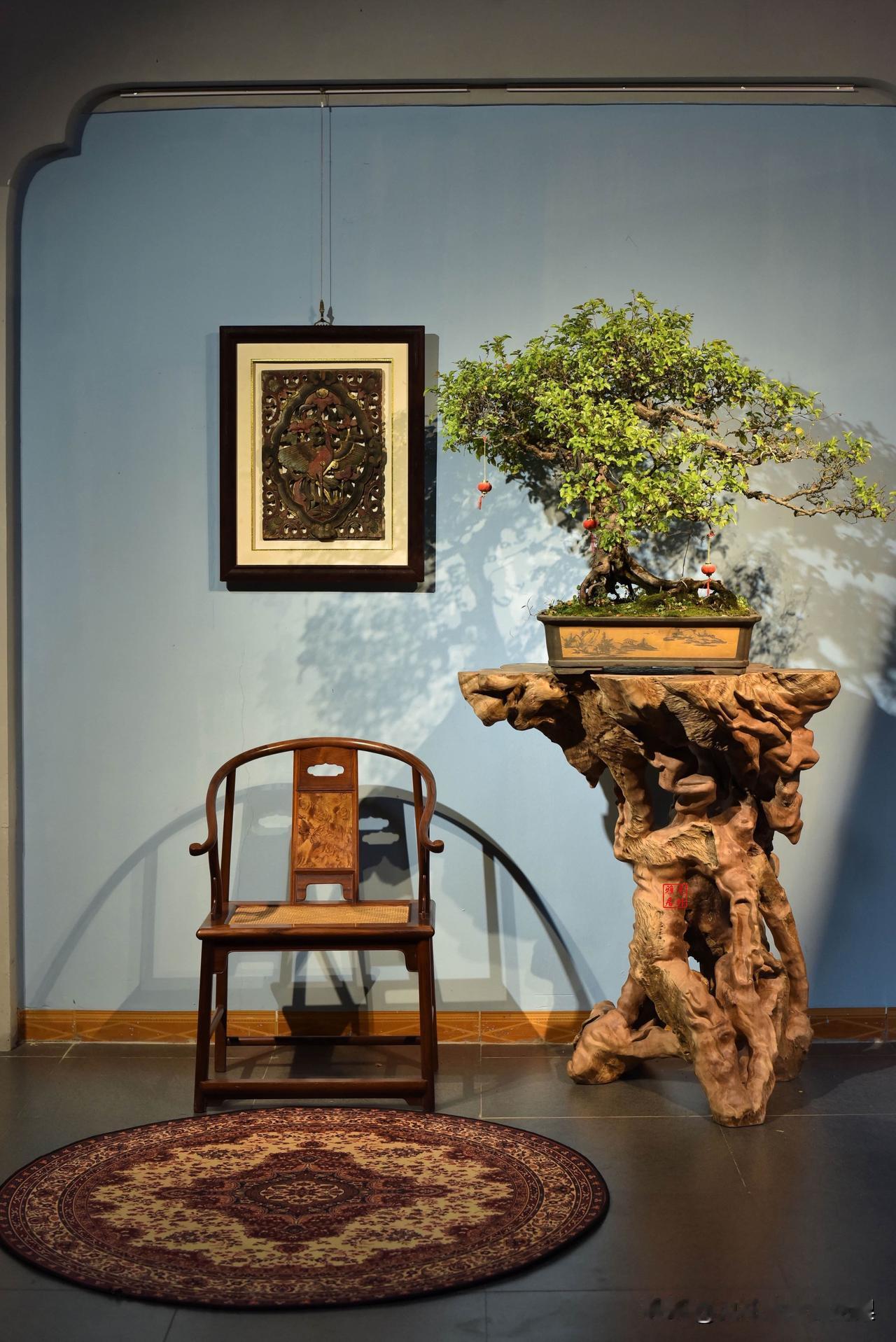 挑战全球最大龙眼木根雕花架
一椅一几，一木一景，藏尽东方雅韵。
根雕花架承着苍劲