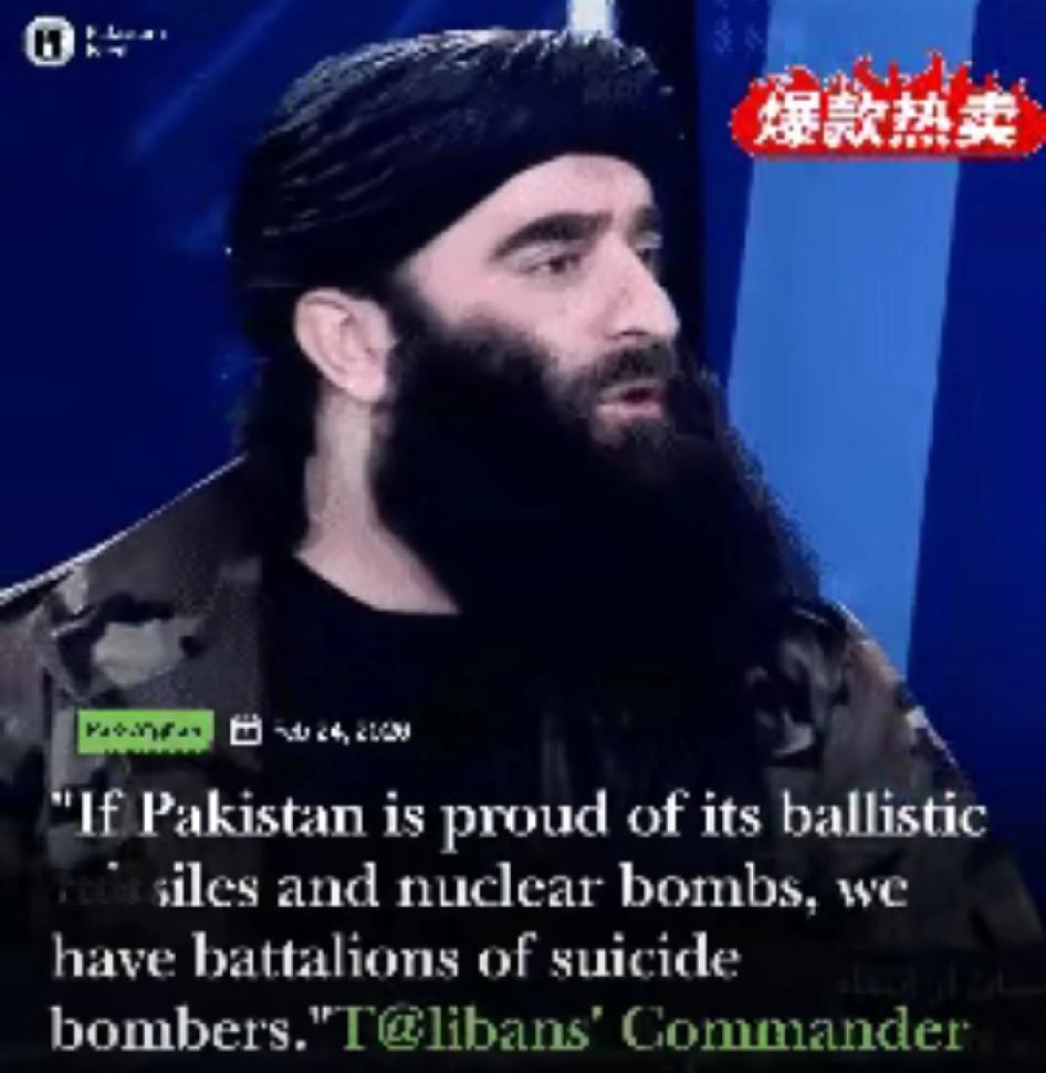 在巴基斯坦对阿富汗进行军事打击后，塔利班指挥官在阿富汗国家电视台对巴基斯坦发出恐