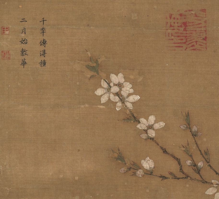 台北故宫藏宋代 无款《桃花》册。台故认为出自马麟之手 