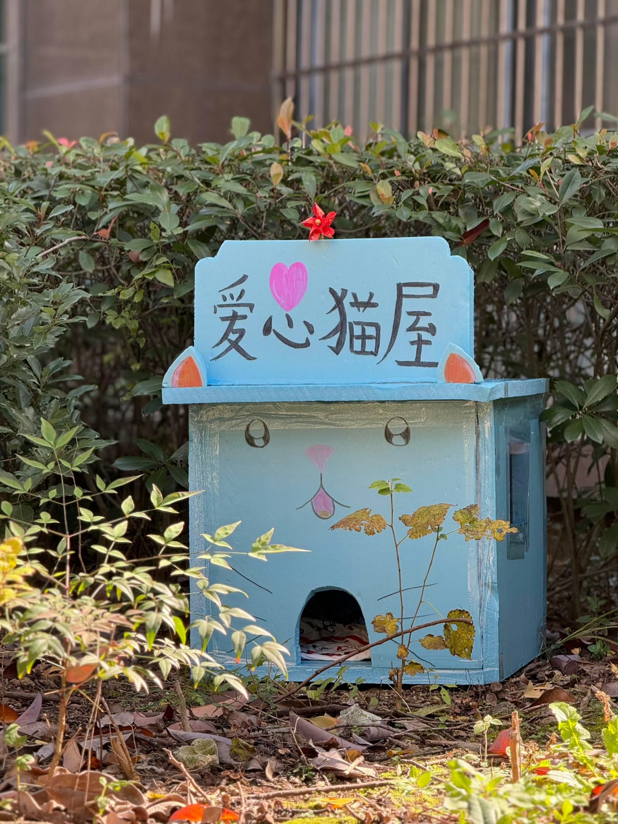 不止提供临时落脚地，鸿星尔克为救助基地输送口粮物资，建造户外爱心庇护屋，全方位解