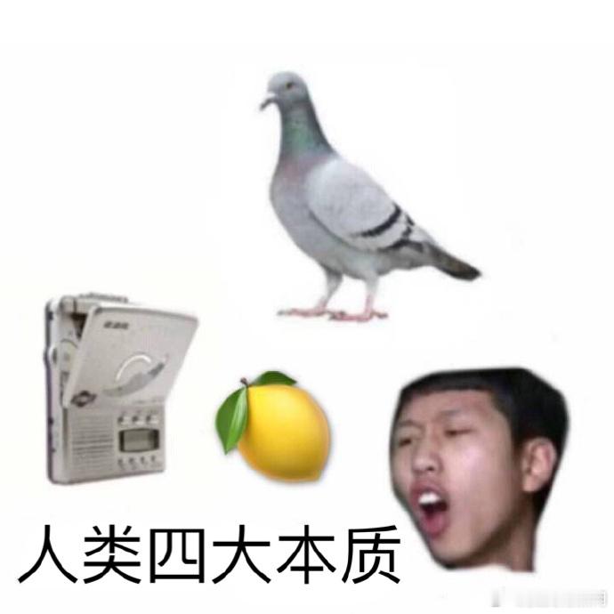 人类四大本质：柠檬精，鸽子，复读机，真香！ 
