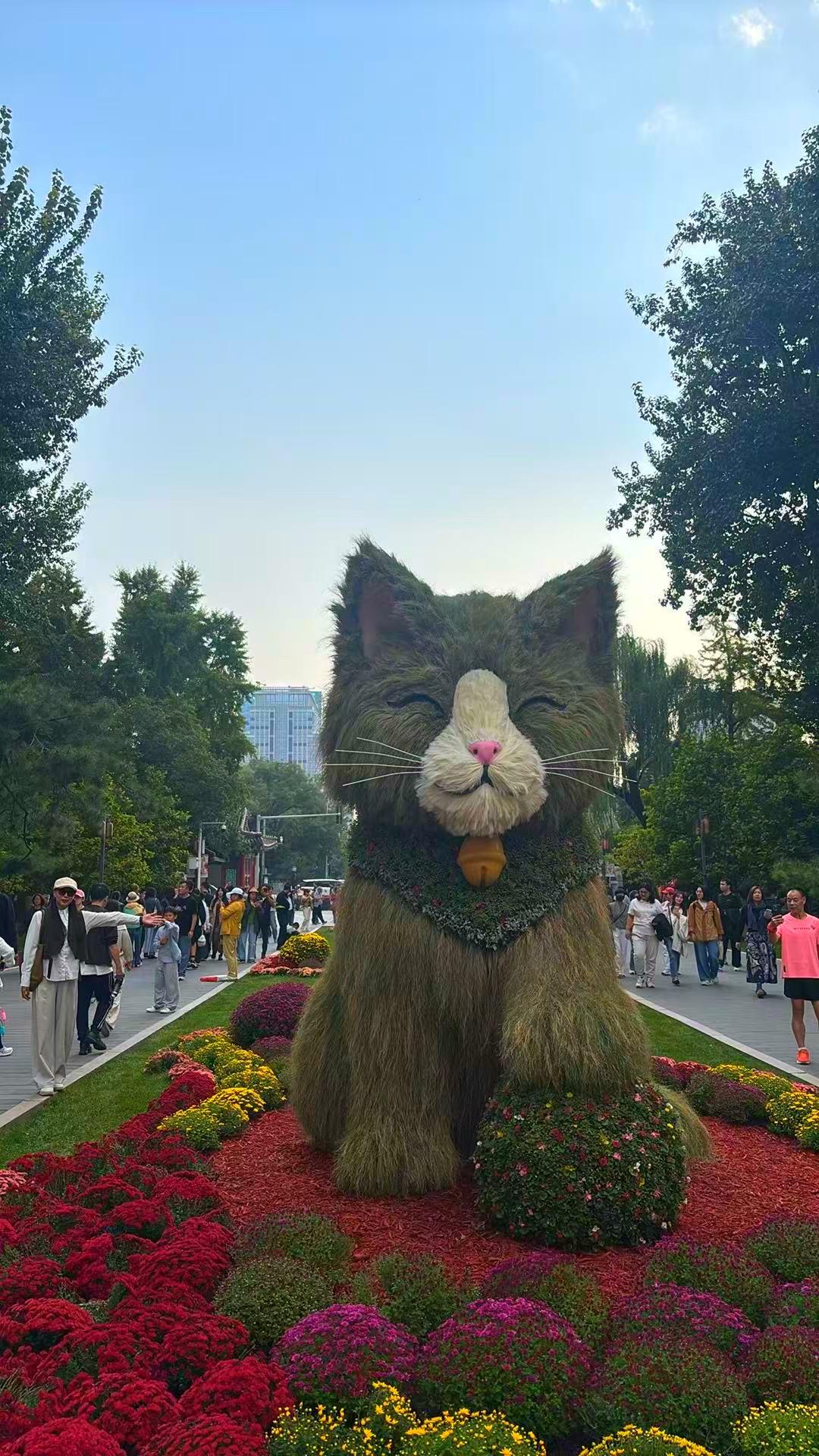 节假日，带着我的小孙宝日坛赏菊。国庆日坛赏菊：国庆假期的第三天，跟爱人一起带着我