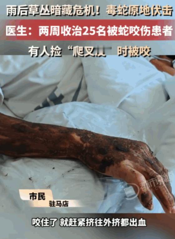 悲剧还是发生了！河南，一男子雨后去草丛捡拾“爬叉皮”时，被突然窜出的毒蛇死死咬住