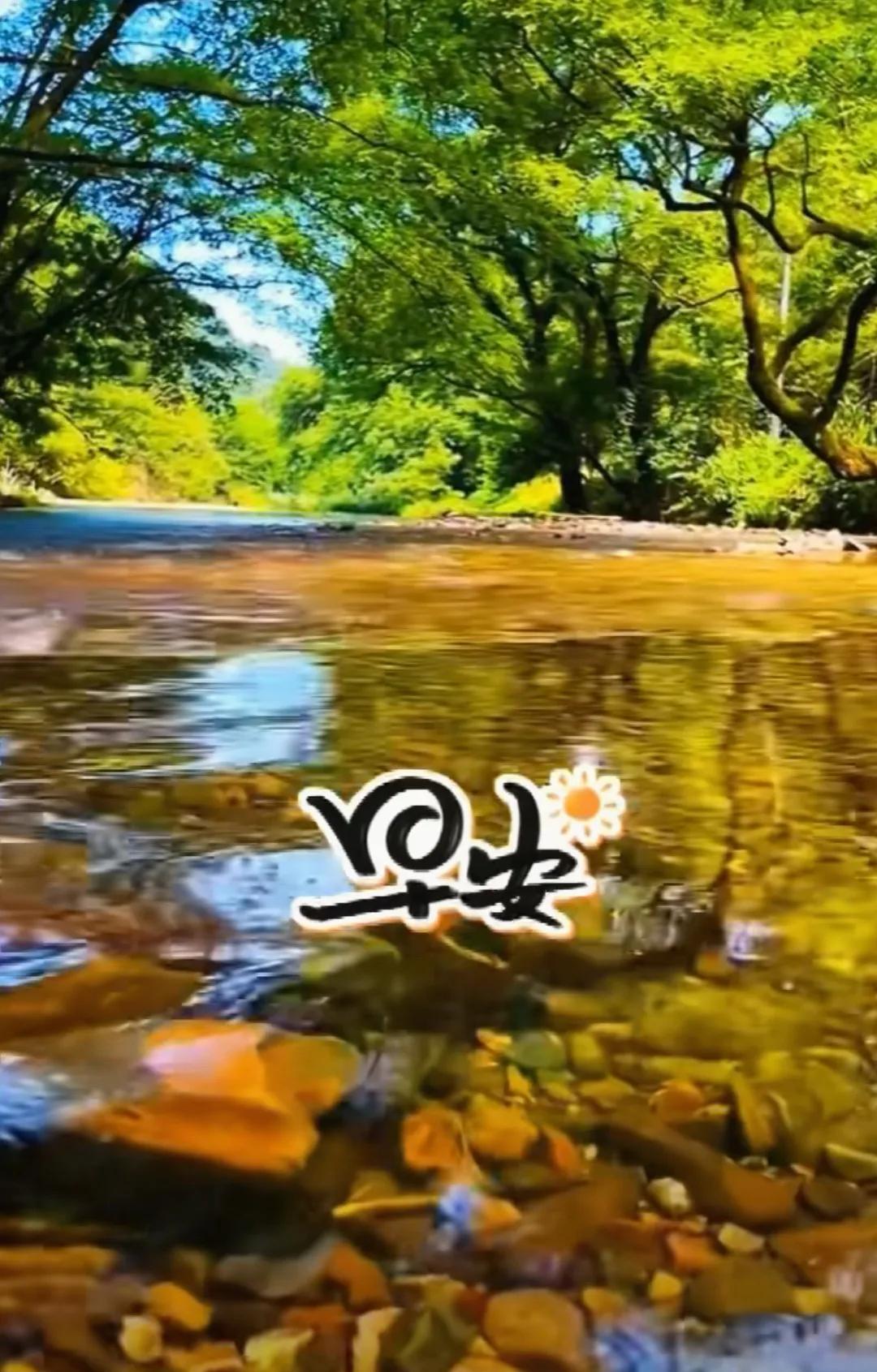 問候無聲，句句情真；
送去祝福，願您健康；
天地有愛，人間有情；
珍惜緣分，歲月