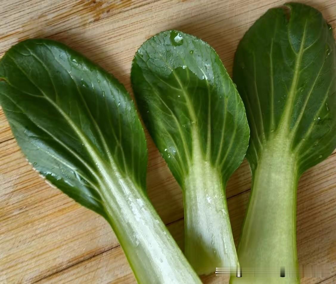 幸福是朝暮刷头条的闲
是青菜满屏的暖
是放下流量焦虑的那一秒心安。
这两天，最幸