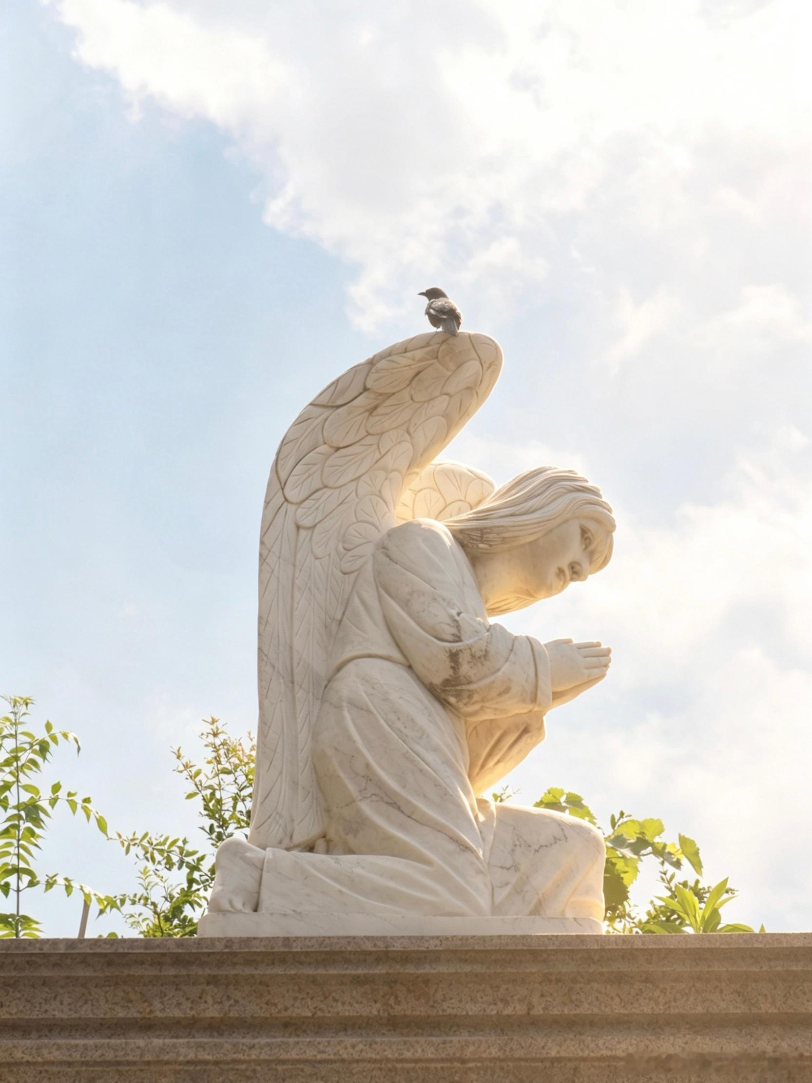 中午发现教堂的门开着⛪️忍不住就走进去张望了一下出门发现有小鸟🐦⬛停在天使的翅