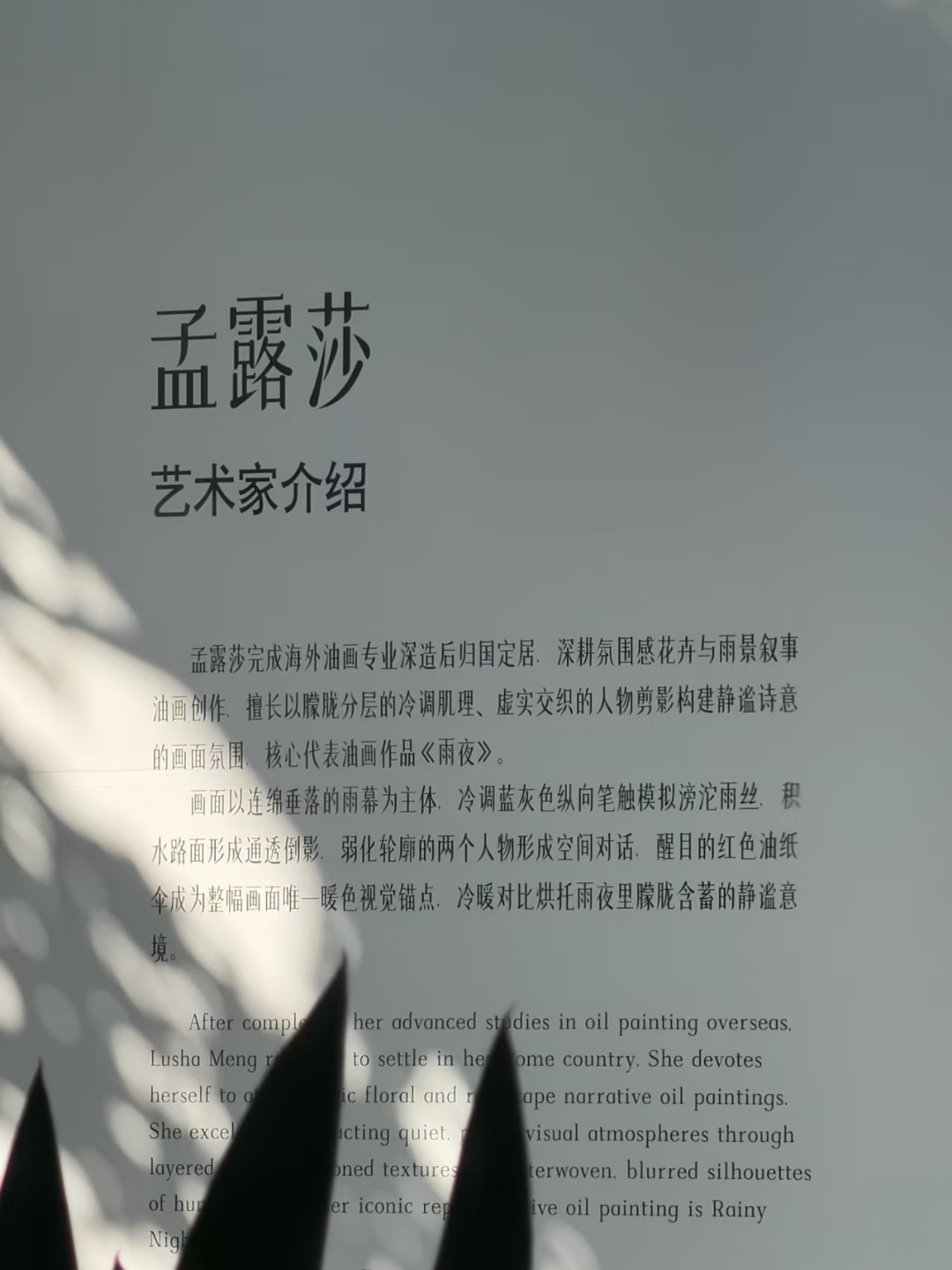 好厉害的大艺术家关晓彤孟露莎