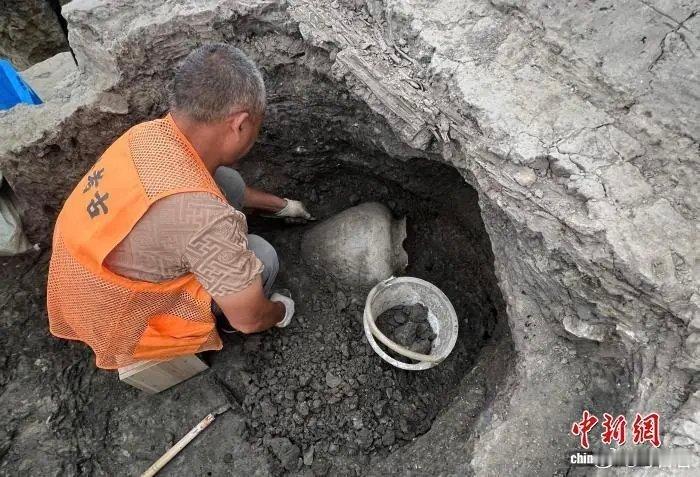 考古新发现越国祭祀 浙江绍兴塔山和畅坊遗址首次发现密封马头骨。马头骨出土于一处祭