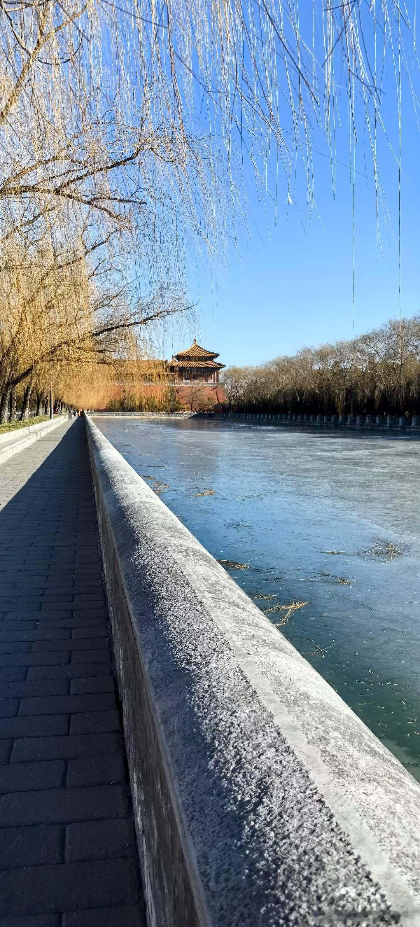 生活手记爱到骨子从不是一时的炽热与喧哗，而是深入肌理的契合与接纳。它藏在对彼此软
