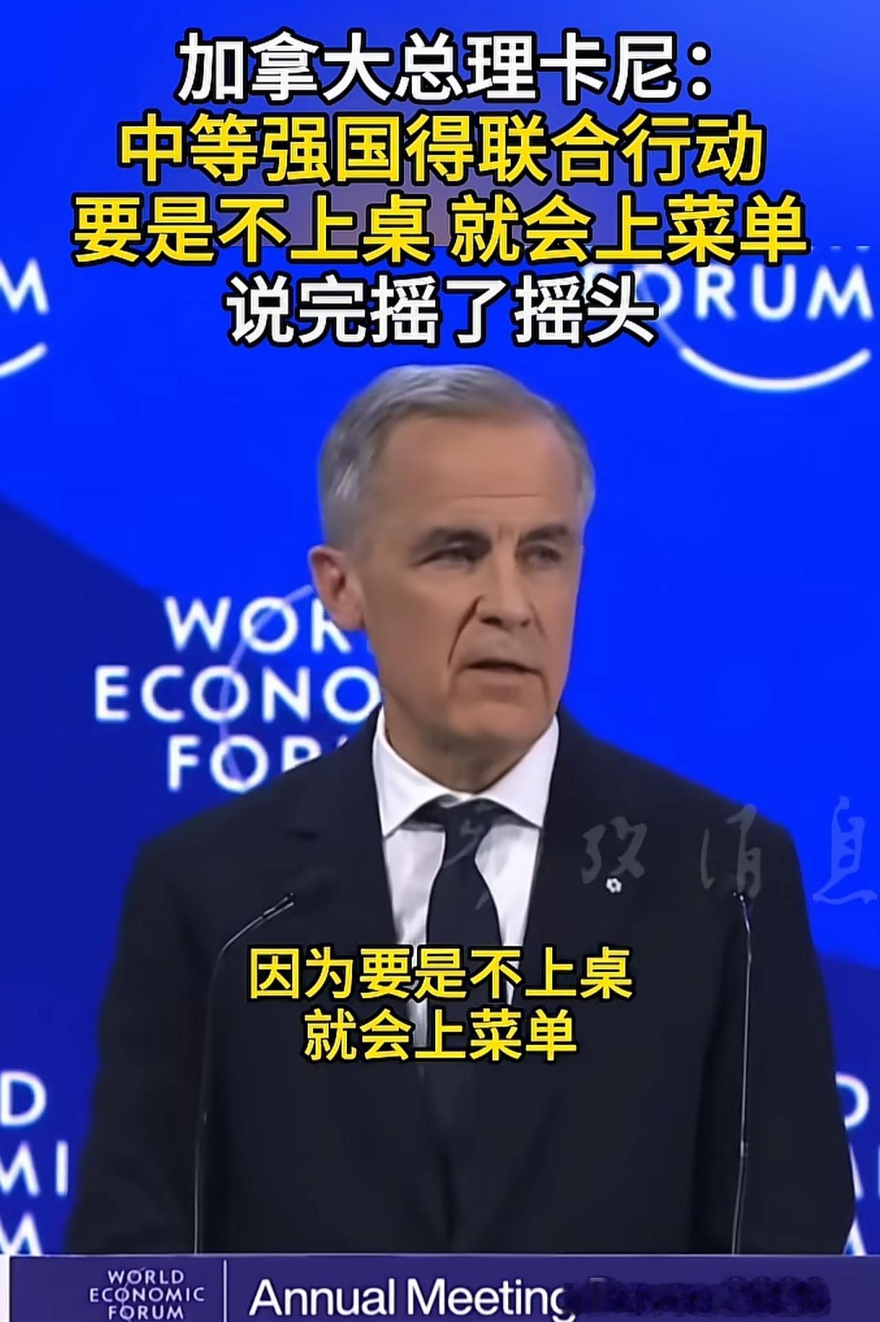 如何看待加拿大总理说：“中等强国得联合行动，要是不上桌就会上菜单”？


---