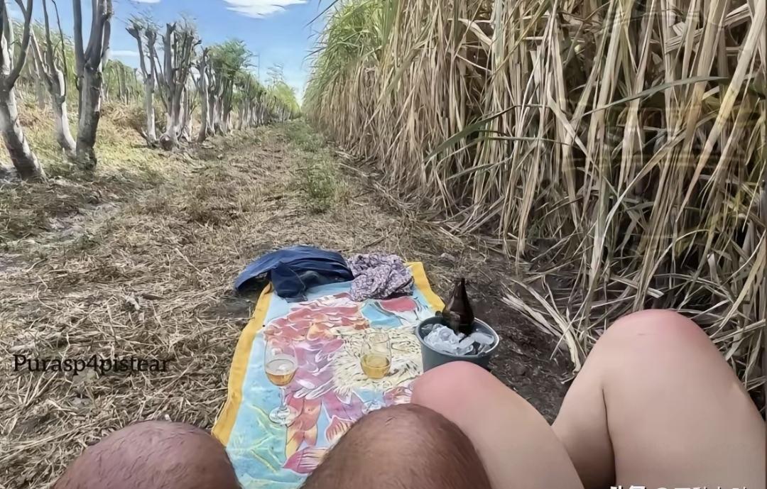 前几天翻相册看见张泛黄的照片，苞米地里模糊有个人影，还放着个酒瓶子。爷爷他们那会
