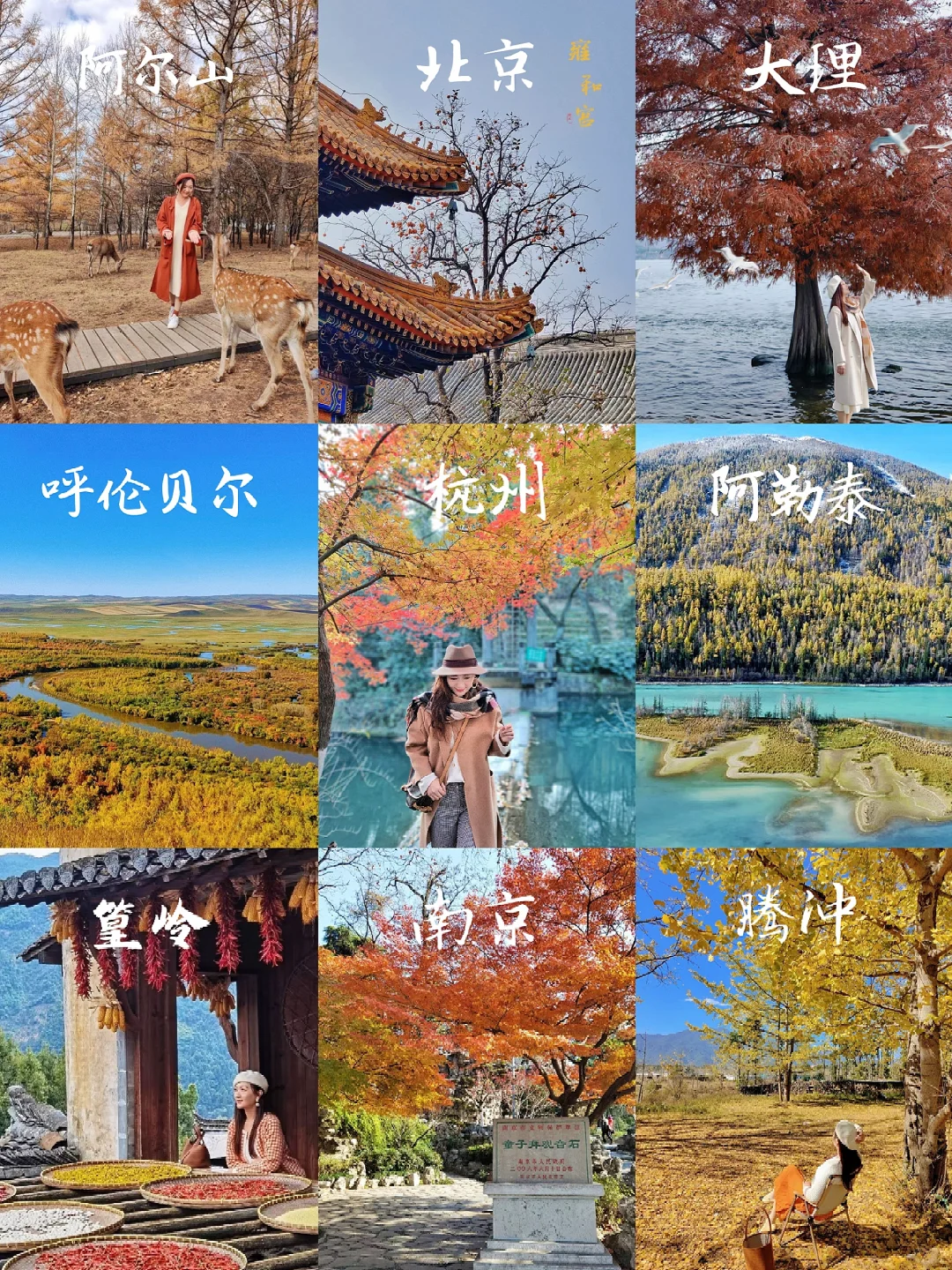 🍁秋季旅行~ 寻找最美的秋景🍂