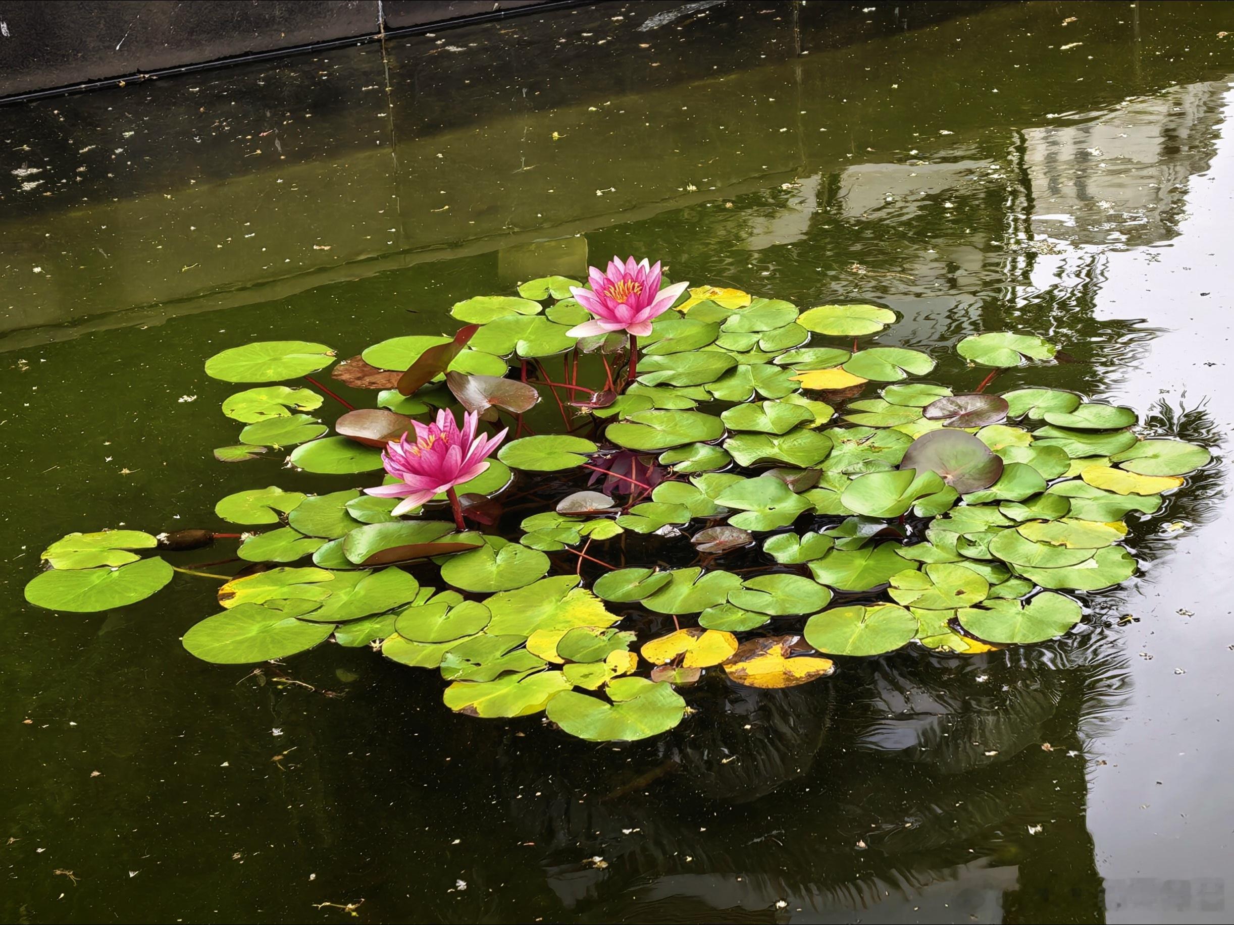 台风将至 🌀 
