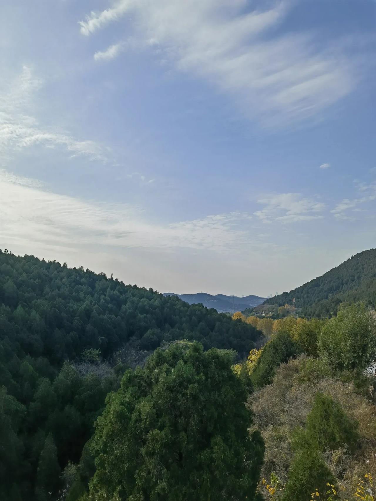 分享一张你最近随手拍的照片吧