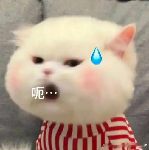 李雨桐被行拘既然找有关部门处理了就实现了威慑价值，再把处理结果公布出来，有损公众