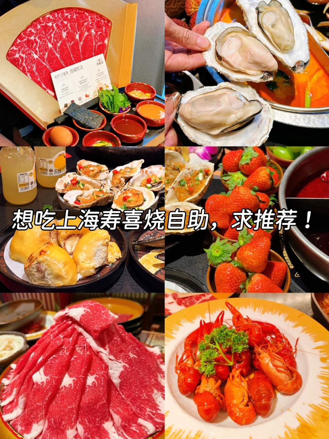 想吃上海寿喜烧自助！怎么选？求建议