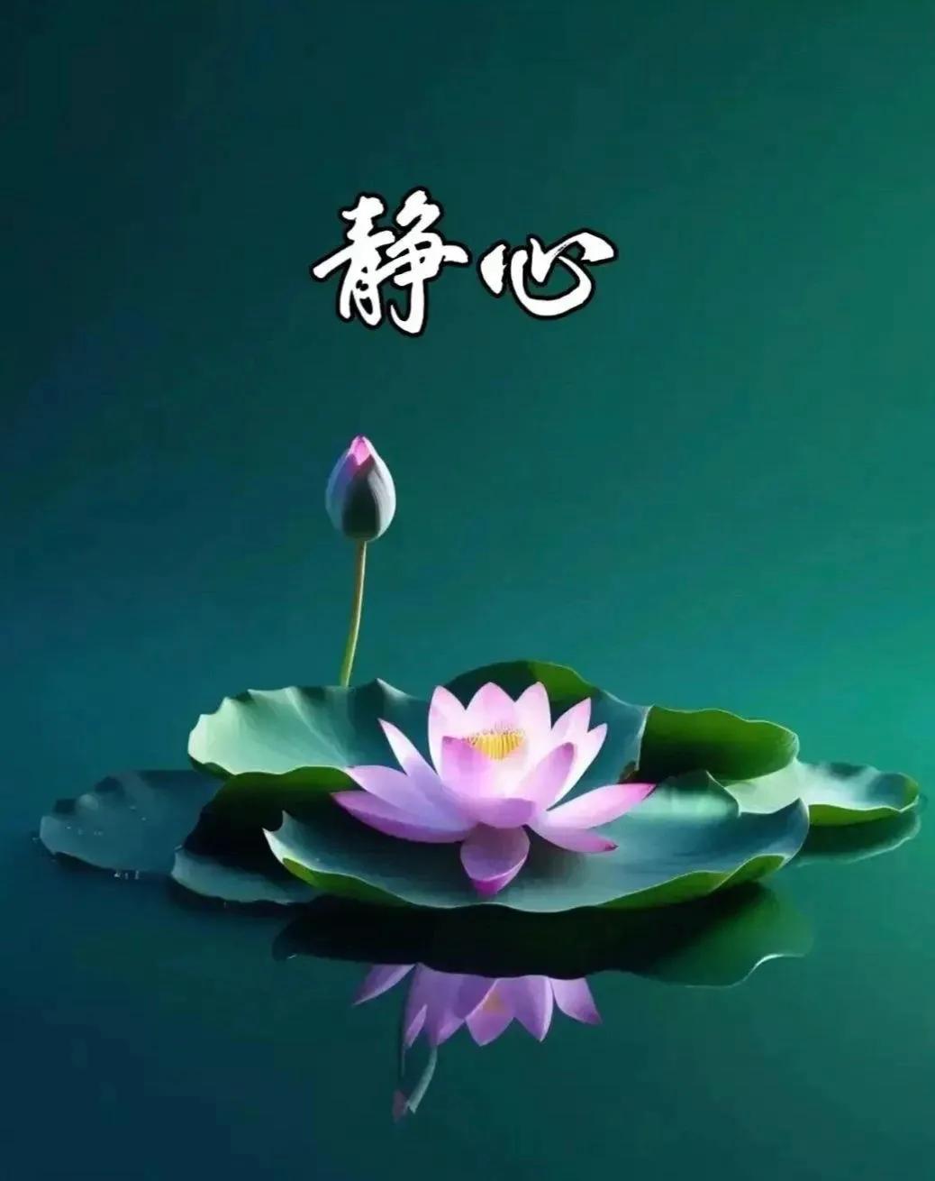 六十岁以后，要想让自己越来越幸福，必须学到

  （一）少说话。不该说的不说。说