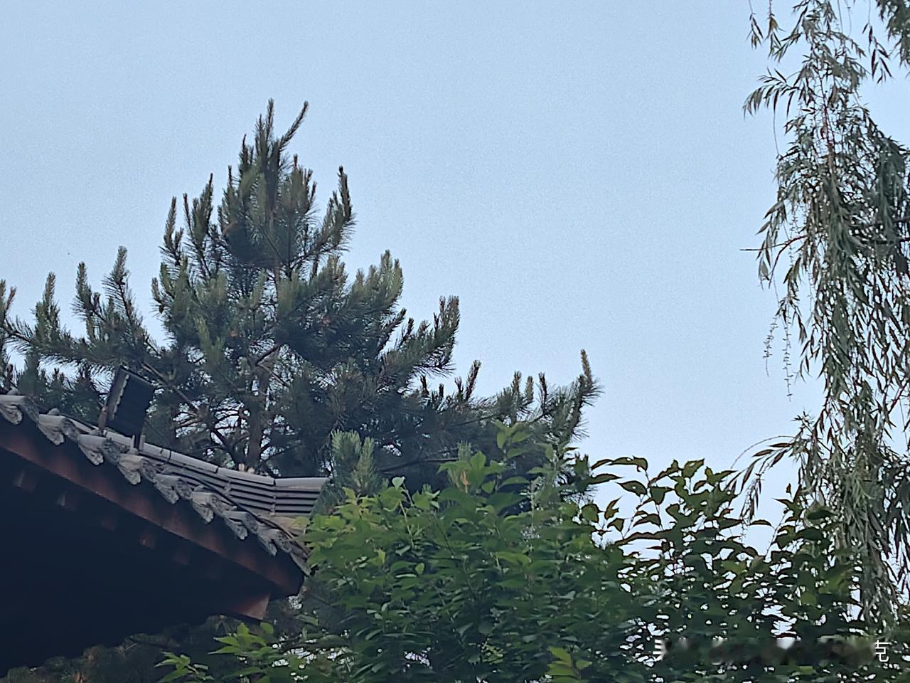 又是崭新的一天
一天好心情