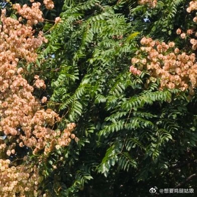 发个白贴吧，回郑州~出差结束 四天五天四晚[挤眼]🌙又没了  最近发的也少，还