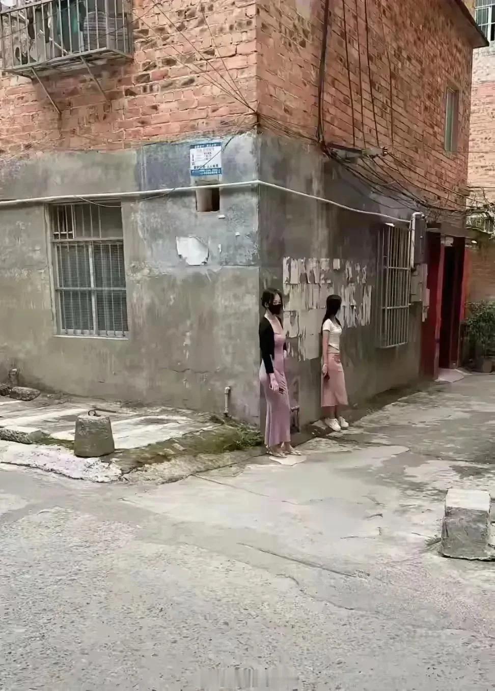 这么高质量的不多了，要珍惜