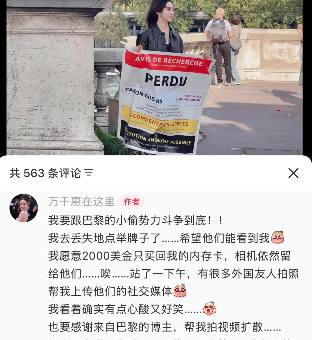 海外社交平台上，有外国网友发表比喻，将中国人比作渡渡鸟，称其不了解自身面临的潜在
