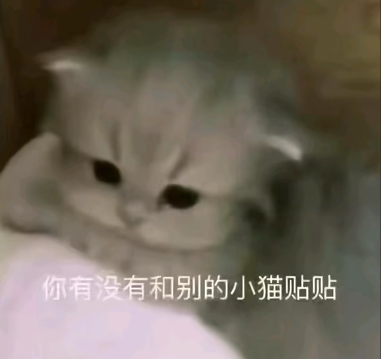 天天问我 