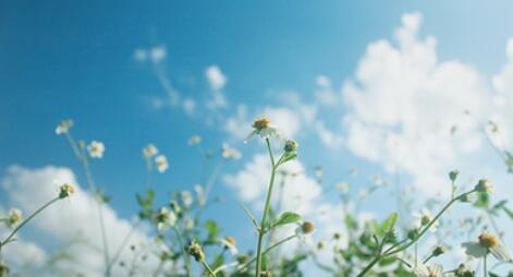 讨论一下#十二星座#爱错人的几率有多大？白羊座：75%（冲动，喜欢就是喜欢，根本