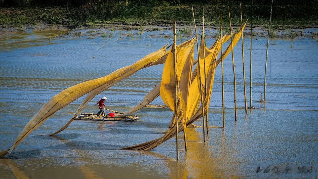 【瓦窑飘网】拍于福建霞浦 