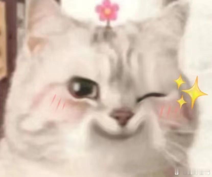 起猛了一不小心就成了团宠没想到出门旅个游还能逆袭成团宠🥰全程被身边人迁就照顾，